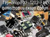 Термопара XF-1202-FAR 