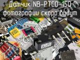 Датчик NB-PTCO-150