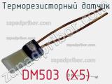 Терморезисторный датчик DM503 (X5) 