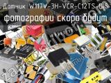 Датчик W117V-3H-VCR-C12TS-DIS 