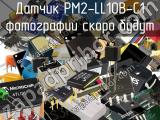 Датчик PM2-LL10B-C1 