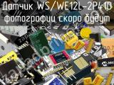 Датчик WS/WE12L-2P410