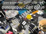 TG111-E10NYNLF