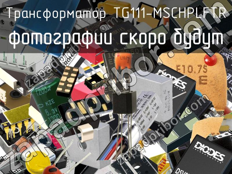 Трансформатор TG111-MSCHPLFTR фотография.