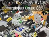 Геркон KSK-1E85-BV470 