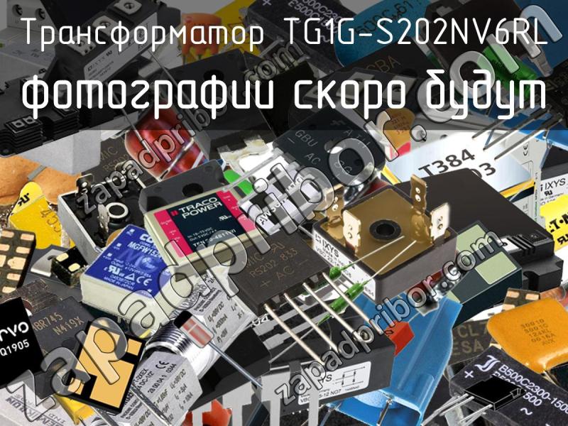 Трансформатор TG1G-S202NV6RL фотография.
