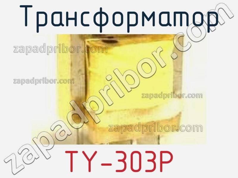 Трансформатор TY-303P фотография 1.