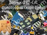 Датчик ZX2-CAL 