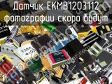 Датчик EKMB1203112 