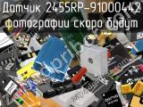 Датчик 2455RP-91000442 