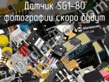 Датчик SG1-80 