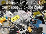 Датчик CP1W-TS101 