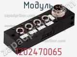 Модуль 1202470065 фотография 3.