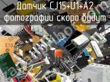 Датчик CJ15+U1+A2