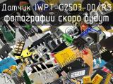 Датчик IWPT-G2503-00/RS 