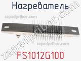 Нагреватель FS1012G100 фотография 2.