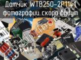 Датчик WTB250-2P1141