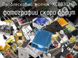 Проблесковый маячок XCB0302 G