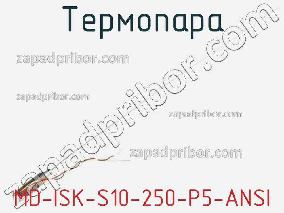 MD-ISK-S10-250-P5-ANSI - Термопара - фотография. Увеличить. MD-ISK-S10-250-P5-ANSI - Термопара - фотография.