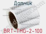 Датчик BRT-THG-2-100 фотография 2.