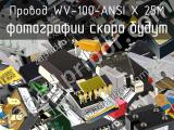 Провод WV-100-ANSI X 25M 