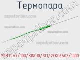 Термопара PTMTCA7/100/KINC10/SCI/2EK06A02/1000