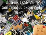 Датчик CKSR 25-NP 