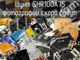 Шунт SHR100A75 