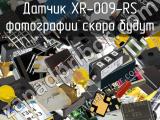 Датчик XR-009-RS 