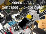 Лампа DL1BLJ 