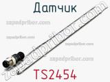 Датчик TS2454 фотография 2.