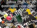 Датчик PM-F45-P