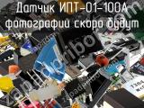 Датчик ИПТ-01-100А 