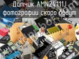 Датчик AMN24111J 