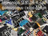 Термопара SENSOR-K-EGT