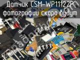 Датчик CSM-WP11122P 