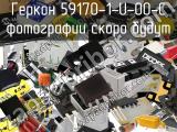 Геркон 59170-1-U-00-C