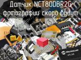 Датчик NCT80DBR2G 