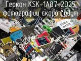 Геркон KSK-1A87-2025 