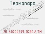Термопара 20-40204299-0250.A.TM 