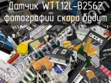 Датчик WTT12L-B2562