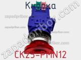 Кнопка CK25-PMN12 
