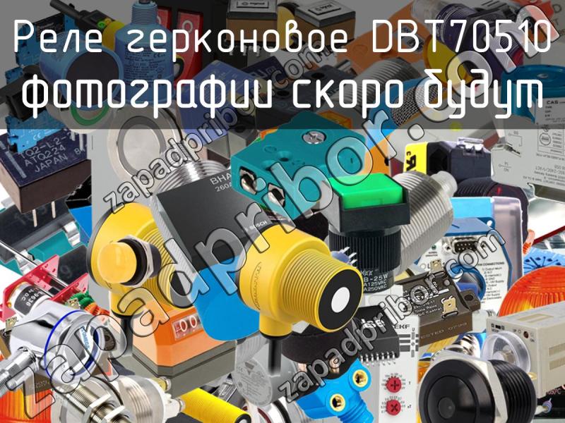 Реле герконовое DBT70510 фотография.