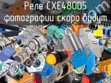 Реле CXE480D5 