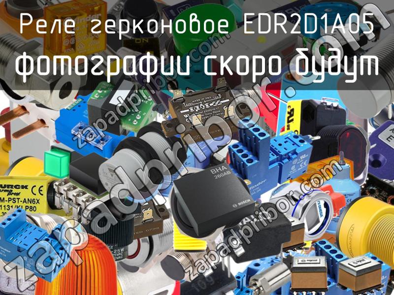 Реле герконовое EDR2D1A05 фотография.