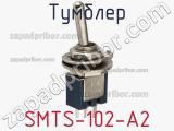 Тумблер SMTS-102-A2 фотография 3.