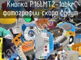 Кнопка P16LMT2-1abKR 