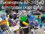 Выключатель BZ-2RQ1-A2