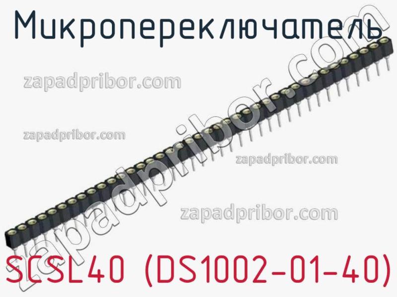 Микропереключатель SCSL40 (DS1002-01-40) фотография 1.