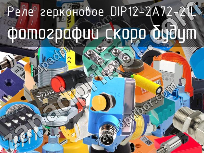 Реле герконовое DIP12-2A72-21L фотография.